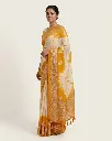 zari weaving and tie-dye pattern